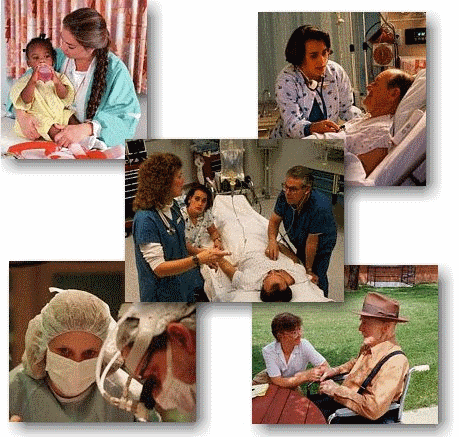 NURSES_1.gif